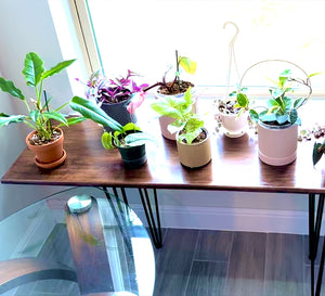Window Plant Table With Metal Hair PIN Legs